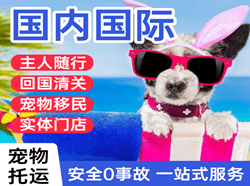 丹东浪头航空物流国际宠物托运 【国
